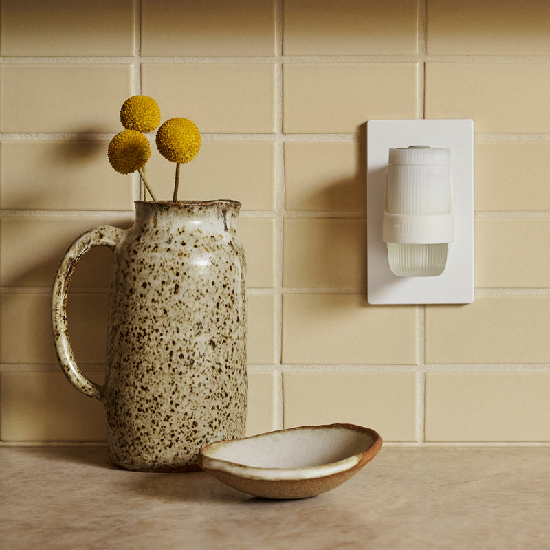 Rain Water Plug In Scented Oil Refill 2-Pack
