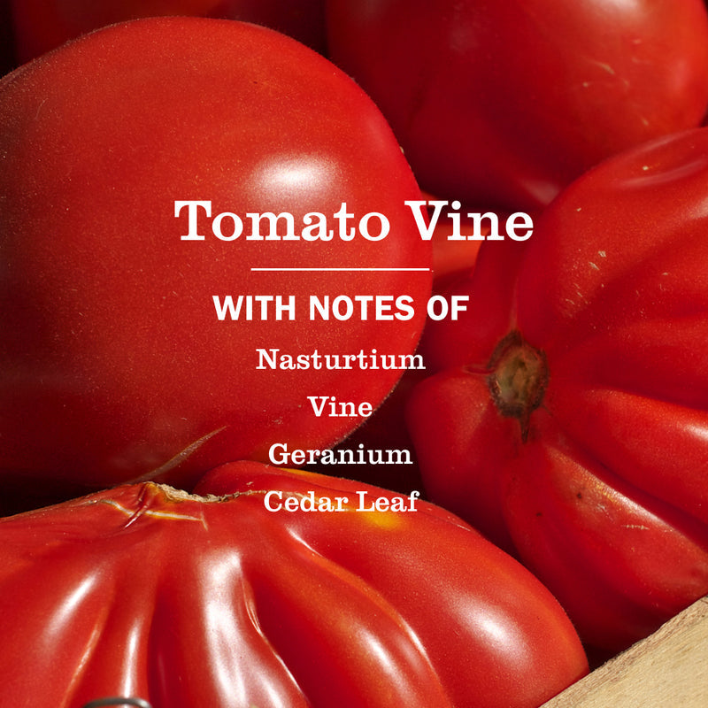 Mrs. Meyer's Tomato Vine Dish Soap