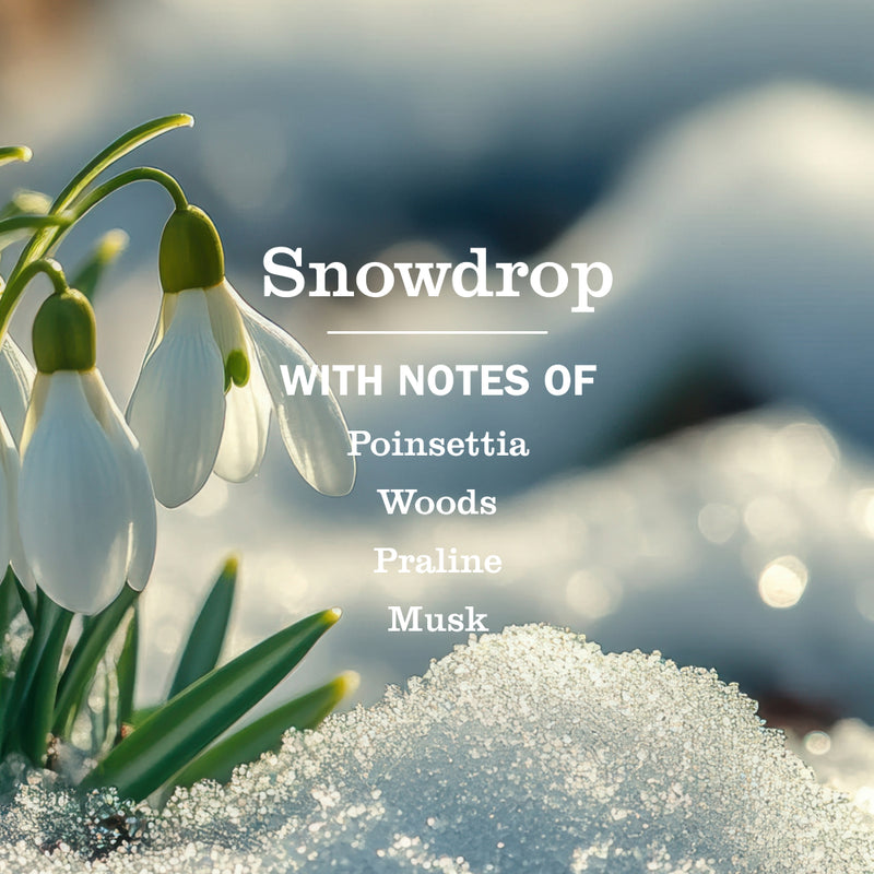 Snowdrop Essentials 5-Count Bundle