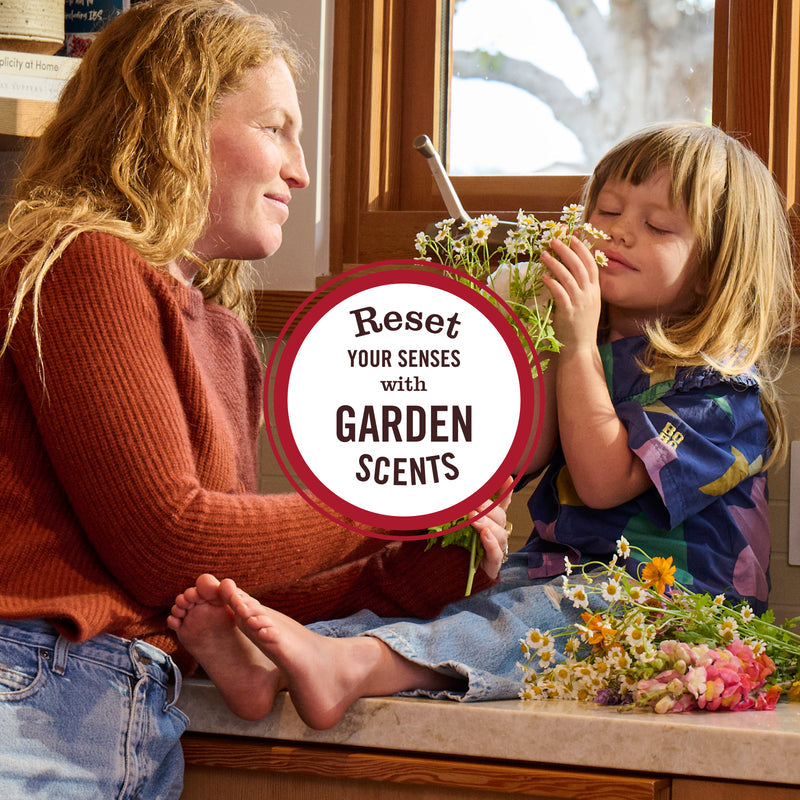 Mrs. Meyer's Acorn Spice Room Freshener
